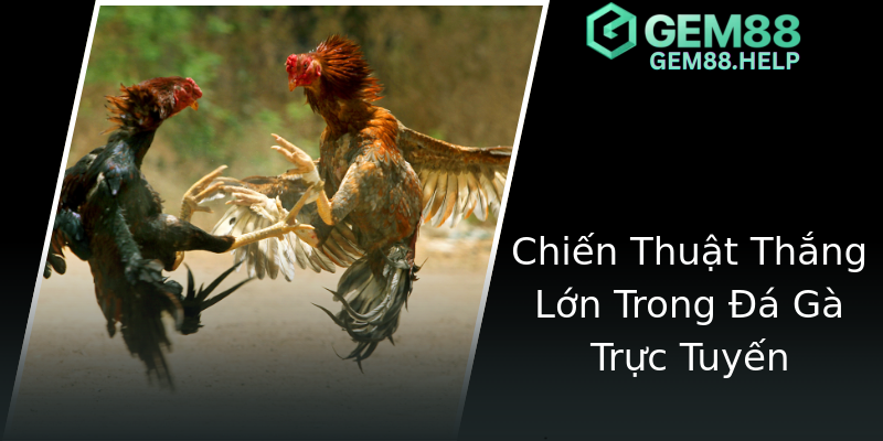 Chiến Thuật Thắng Lớn Trong Đá Gà Trực Tuyến Chiến Thuật Thắng Lớn Trong Đá Gà Trực Tuyến
