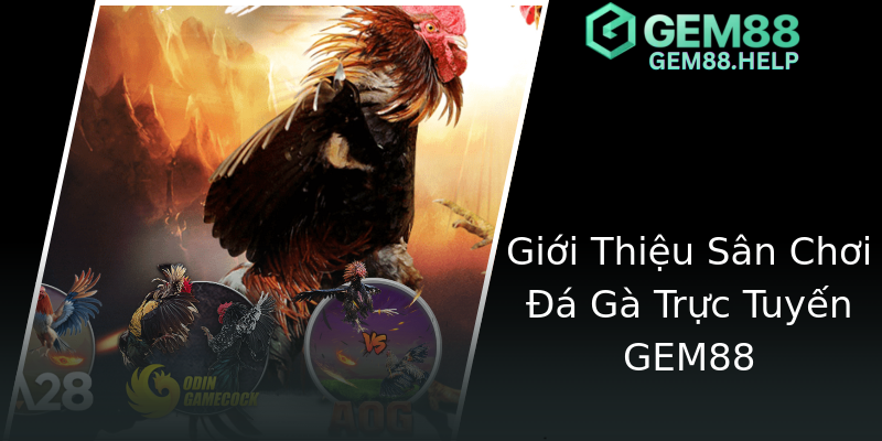 Giới Thiệu Sân Chơi Đá Gà Trực Tuyến GEM88