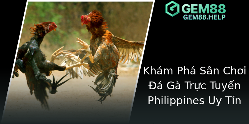 Khám Phá Sân Chơi Đá Gà Trực Tuyến Philippines Uy Tín Khám Phá Sân Chơi Đá Gà Trực Tuyến Philippines Uy Tín