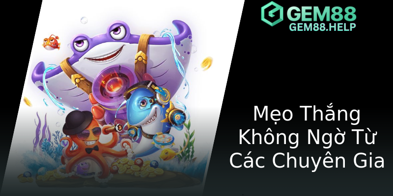 Mẹo Thắng Không Ngờ Từ Các Chuyên Gia Mẹo Thắng Không Ngờ Từ Các Chuyên Gia