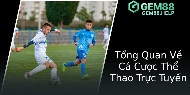 Tổng Quan Về Cá Cược Thể Thao Trực Tuyến