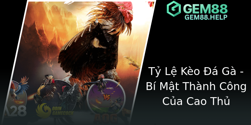 Tỷ Lệ Kèo Đá Gà - Bí Mật Thành Công Của Cao Thủ Tỷ Lệ Kèo Đá Gà - Bí Mật Thành Công Của Cao Thủ